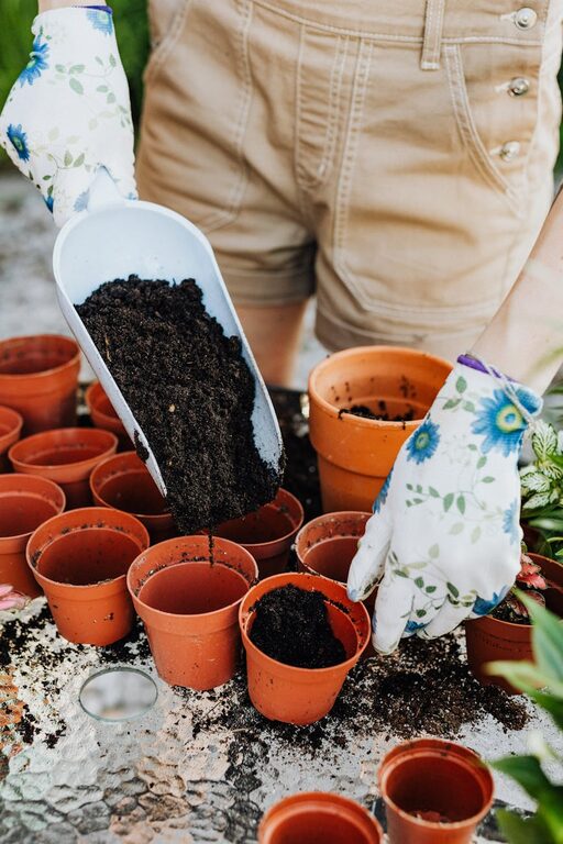 Tips for Creating a Sustainable and Eco-Friendly Home Garden