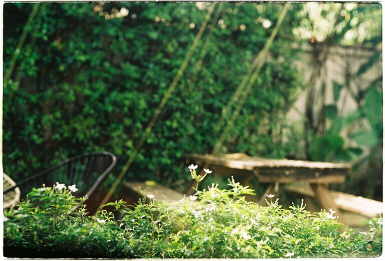 Tips for Creating a Relaxing Garden Space at Home